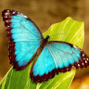 Meet your Posher, Stacey